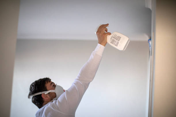 Best Best Mold Removal Companies  in Durand, IL