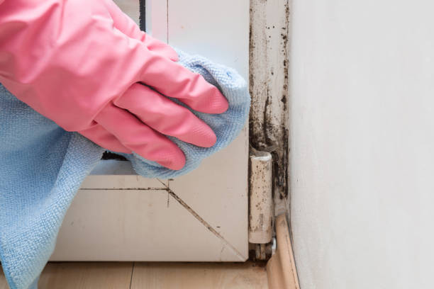 Water Damage Restoration in Durand, IL